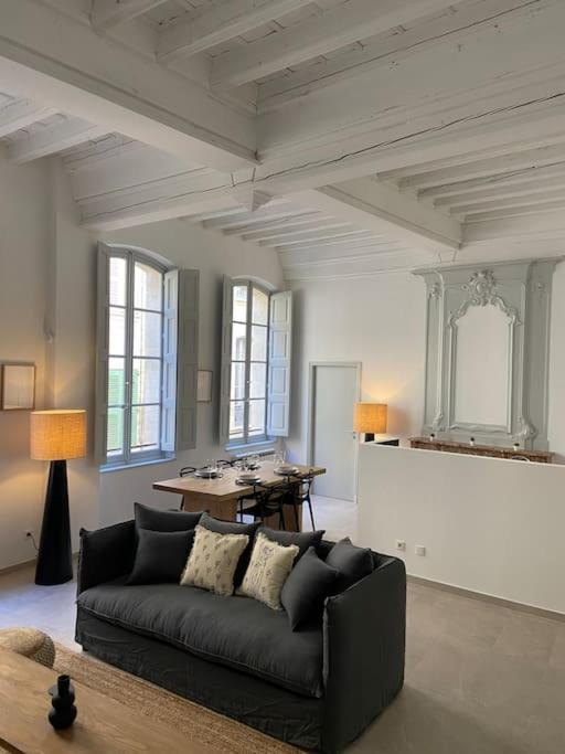 אביניון Appartement Avec Ventilateurs Proche Du Palais Des Papes מראה חיצוני תמונה